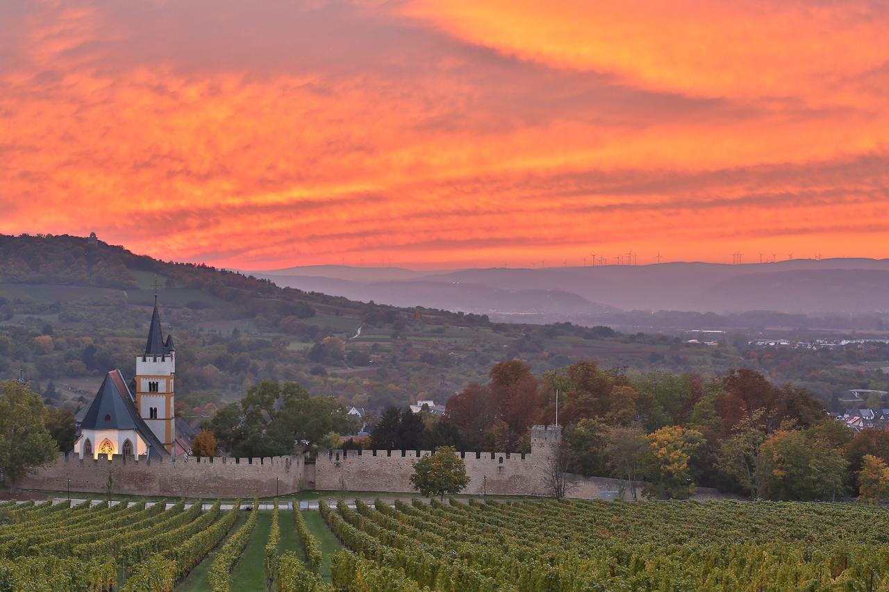 Ibb Hotel Ingelheim Bagian luar foto